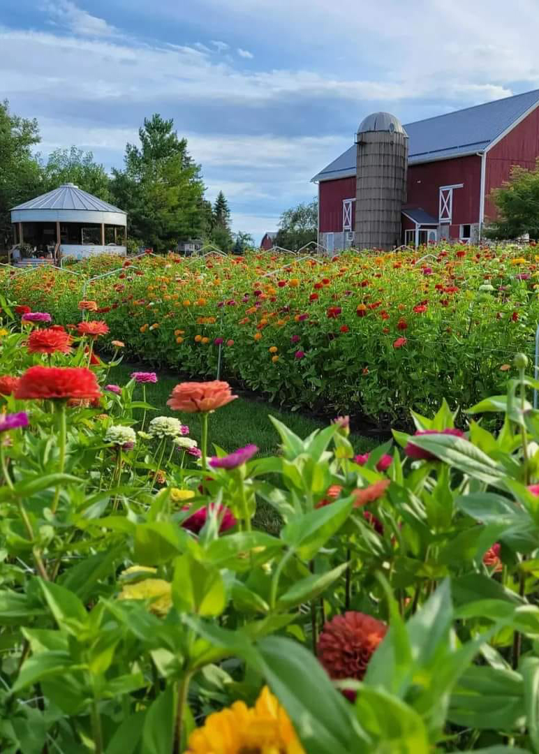 franksville wi you pick flower farm photos-8