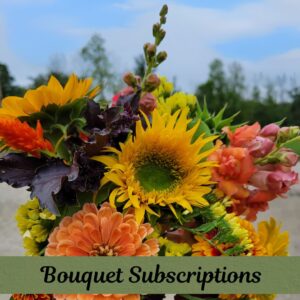 Subscriptions