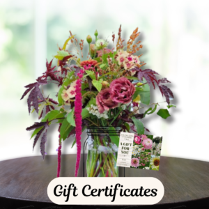 Gift Certificate