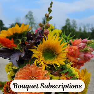 Subscriptions
